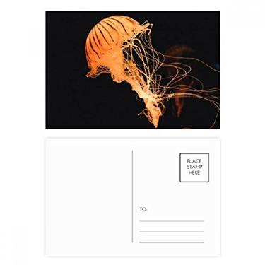 Imagem de Ocean Jellyfish Science Nature conjunto de cartões postais de aniversário para enviar cartões de agradecimento