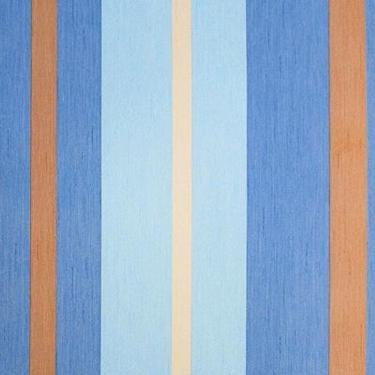 Imagem de Papel de Parede Safari Friends Listrado Colorido SF6203