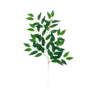 Imagem de Plantas Artificiais Ruscus Italiano 10 Peças, Hastes Verdes, Arbustos 