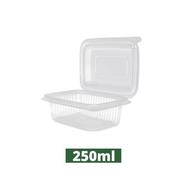 Imagem de Pote Retangular - C/ Tampa Articulada 250ml c/ 24un Rioplastic