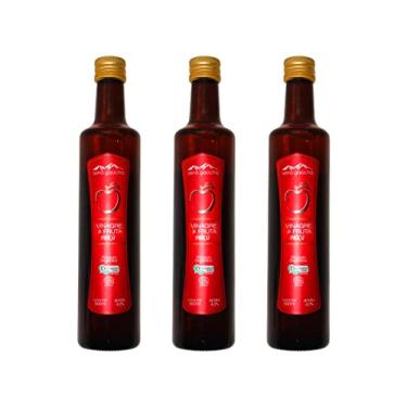 Imagem de Kit 3 Vinagre de Maçã Orgânico Natural 4% Serra Gaúcha 500ml