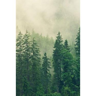 Imagem de Evergreen Pine Tree Forest Scene | Half Sketch Half Wide Rule Composition Notebook: Portion of Book Proceeds Benefit Animal Rescue | 6 x 9 120 Pages | 6" x 9"