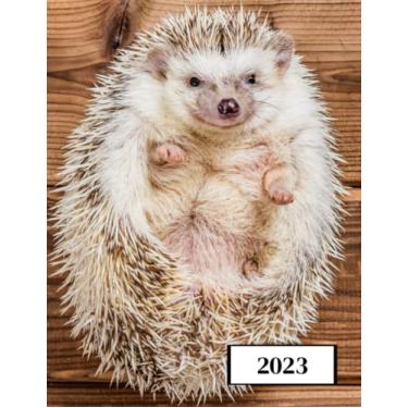 Imagem de 2023: Agenda semainier au format A4 - Année civile (Janvier à Décembre 2023) - Intervalles d'1h (7h-22h) - Contacts, jours fériés, mots de passe, ... - Une semaine sur deux pages