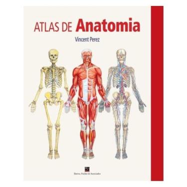 Imagem de Atlas De Anatomia