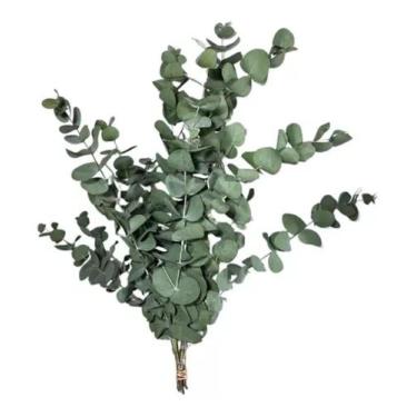 Imagem de Buquê De Eucalipto Desidratado Natural Decoração Casamento 50cm - FLOR