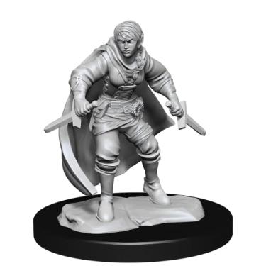 Imagem de WizKids D&D Nolzur's Marvelous miniaturas sem pintura: W14 Half-Elf Rogue Female