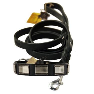 Imagem de Conjunto Dean and Tyler com uma coleira leve branca 76 cm x 3,5 cm com uma coleira combinando Love To Walk, gancho de pressão de aço inoxidável de 1,8 m, preto