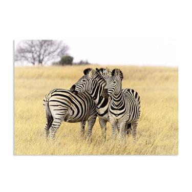 Imagem de SDYJ6GSW Imagens de animais em preto e branco para decoração de parede Três zebras na savana africana impressão de cavalo imagem de tela pintura de parede zebra decoração de parede para sala de estar