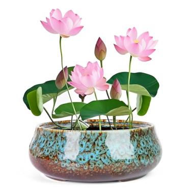 Imagem de ARTKETTY Tigela de lótus - Tigela grande de flor de lótus de 19 cm para plantas aquáticas, tigela de bonsai de cerâmica para plantas hidropônicas, suculentas, ambientes internos e externos