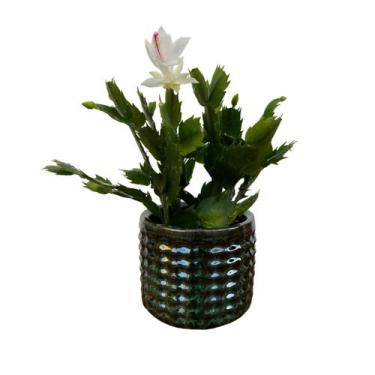 Imagem de Vaso Cachepot de Mesa 15cm Redondo de Cerâmica Texturizada - Verde Gar