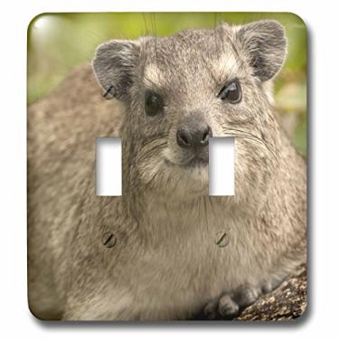 Imagem de 3dRose lsp_76215_2 Tanzânia, Serengeti NP, Hyrax Wildlife Interruptor duplo