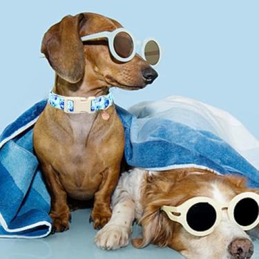 Imagem de Coleira de cachorro com estampa de mirtilo para cães pequenos, primavera, verão, fêmeas ou machos, presente para animais de estimação, ajustável, resistente, fofa, coleiras para animais de estimação