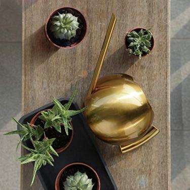 Imagem de Mingzhe 1000ml Regador de Aço Inoxidável Boca Longa Jardim Flores Plantas Ferramenta Ouro (Ouro)