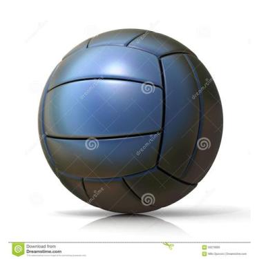 Imagem de Bola de voleibol - Roni 