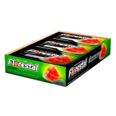 Imagem de Chiclete Florestal Melancia com 15 unidades