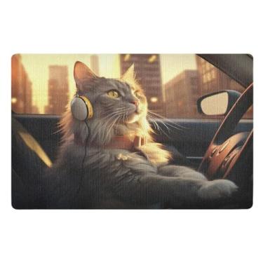 Imagem de Joisal Tapete de boas-vindas para carro de gato para porta da frente, tapete externo antiderrapante para ambientes internos 81 x 50 cm