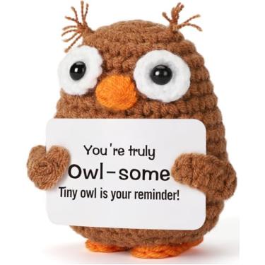 Imagem de Presentes engraçados de aniversário de coruja de crochê para mulheres e homens, melhor amiga, colega de trabalho, irmã, mãe, escritório, decoração de casa, quarto, estante de livros, alívio de