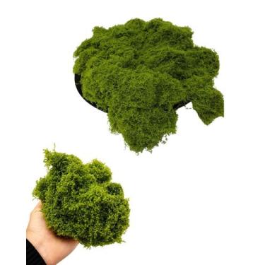 Imagem de Musgo Verde Decoração Arranjo Flores Artificiais 200g - Importacão tub