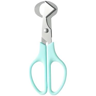 Imagem de Tesoura de ovo de codorna de aço inoxidável, cortador de ovos, cortador de pombo, casca separada, descascador de ovos de codorna, biscoito de ovo de pombo, codorna, tesoura de ovo de codorna