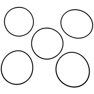 Imagem de Kit 5un Anel de Vedação do Motor Compatível com Lavajato WAP Extreme Turbo 2800 FW006756