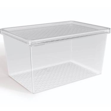 Imagem de Organizador de Geladeira com Tampa 2,9L Caixa Organizadora Frutas Verd