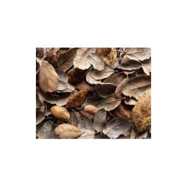 Imagem de 100 Gramas Folhas Secas Naturais Diversas Direto do Campo - Substrato 