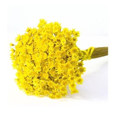 Imagem de 600 Sempre Viva Florzinha Amarelo I Flores Desidratadas - Pense Flores