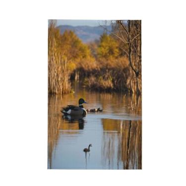 Imagem de XLLingL Loon Nature Bird Print Waffle Toalhas de cozinha, panos de prato de microfibra, para decoração e limpeza de cozinha - 1 peça