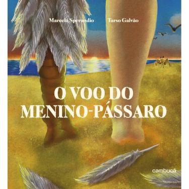 Imagem de O voo do menino-pássaro