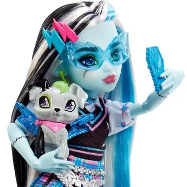 Imagem de Boneca Monster High Com Acessórios Frankie Stein E Watzie - Mattel Hhk53
