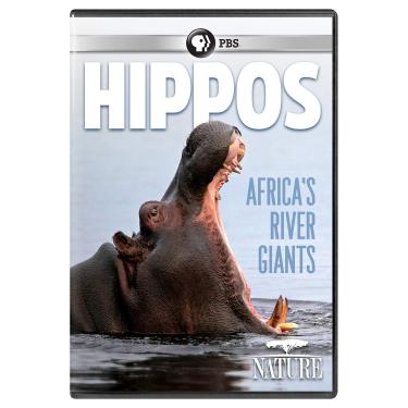 Imagem de NATURE: Hippos: Africa's River Giants
