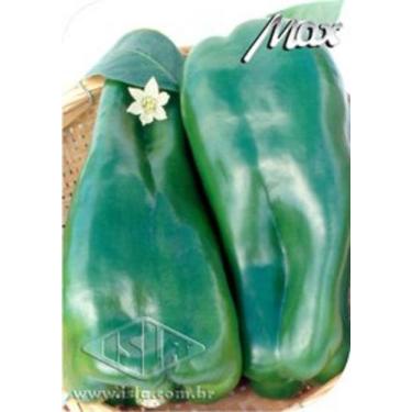 Imagem de Pimentão Híbrido Proveito - 50 Sementes - ISLA