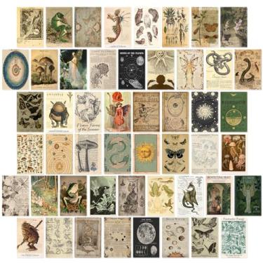 Imagem de Vodefoad Decoração vintage Fairycore - 50 peças decoração de quarto de fadas imagens estéticas 10 cm x 15 cm impressão de arte de parede animal floresta terrestre retrô grunge fada kit de colagem de