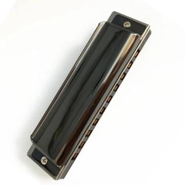 Imagem de Gaita profissional de 10 furos diatônica blues harmônica linda harpa preta instrumento de metal