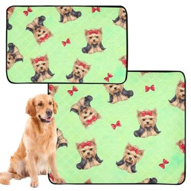 Imagem de Almofadas de xixi para cães fofos, verde pastel, para cães, reutilizáveis, à prova d'água, cercadinho absorvente, tamanho médio + grande, conjunto com 2