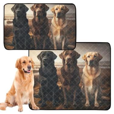 Imagem de TSENQUE Almofadas de xixi laváveis para animais de estimação, reutilizáveis, tapete para xixi, fofo, labrador, pôr do sol, campo absorvente, para cães, treinamento, impermeável, tapete de cercadinho