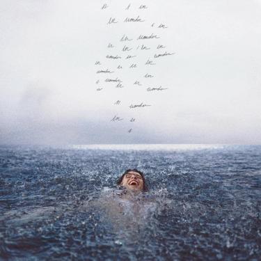 Imagem de Wonder [LP]