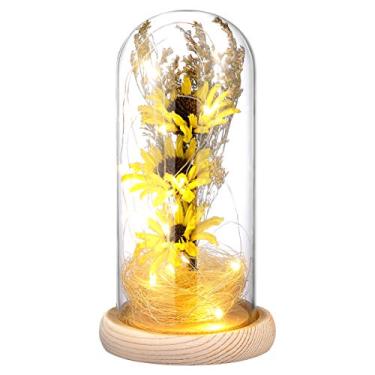 Imagem de minkissy Decoração de casa decoração de casa LED Microlandschaft luz de cúpula de vidro mini lâmpada de girassol artificial com capa de vidro ornamento de mesa (amarelo) decoração de girassol decoração de girassol