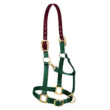 Imagem de Weaver Leather Cabresto de cavalo ajustável de nylon, pequeno, verde caçador