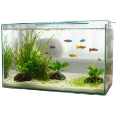 Imagem de Aquário retangular N4 de 13 litros 35 x 17 x 22 cm Aquário de vidro para peixes Betta com plantas artificiais naturais