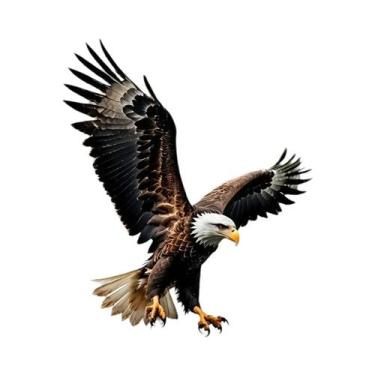 Imagem de Momoart gato pintura diamante animal colorido diamante mosaico imagem 