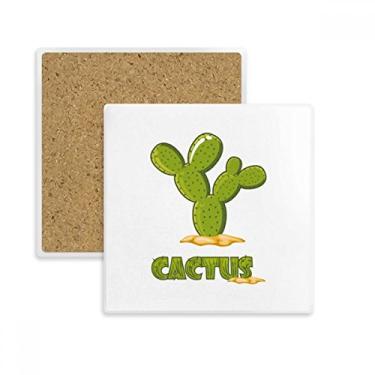 Imagem de Porta-copos de suculentas de plantas de cacto em vaso quadrado, porta-copos verde e pedra isolante