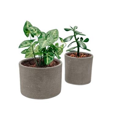 Imagem de Elly Décor Conjunto de 2 vasos de cerâmica de 12,7 cm e 10 cm para plantas suculentas com orifício de drenagem para vasos internos e externos, cimento cinza