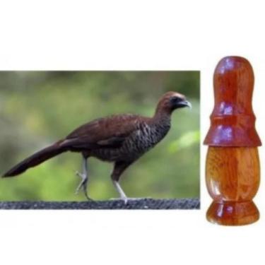 Imagem de Apito Pio De Madeira Aracuã 31 Apito Profissional Aves - Mundo Do Mili