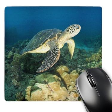 Imagem de 3dRose Mouse pad LLC 20 x 20 x 0,65 cm, tartaruga marinha verde Makena Sp Maui Hawaii Stuart Westmorland (mp_89949_1)