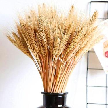 Imagem de Trigo - Sempre Viva - Buque 25 unidades - VIVA FLOR