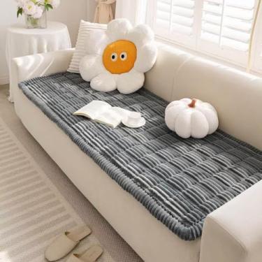 Imagem de Disayu Capa de sofá felpuda para cães, lavável, antiderrapante, cobertor lavável para sofás de animais de estimação e protetor de sofá (cinza escuro, 70 x 150 cm)