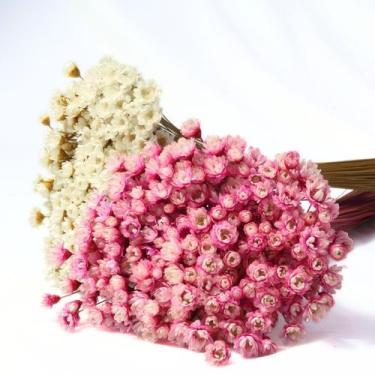 Imagem de 2 Sempre Vivas Florzinha Lembrancinha Desidratadas Seca - Pense Flores