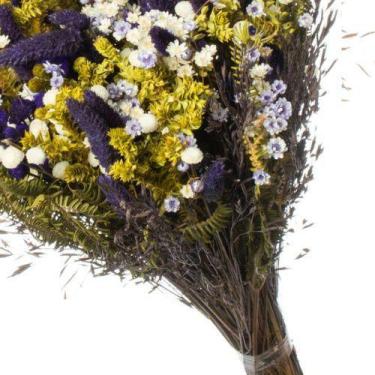 Imagem de Buque de Flores Seca Rabo de Coelho Gato Amarelo Decorar - Pense Flore