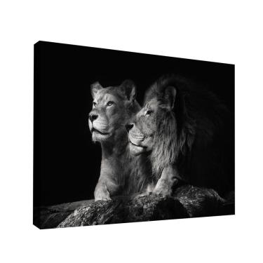Imagem de Quadro Casal De Leões Br Artes Pequeno 60x40